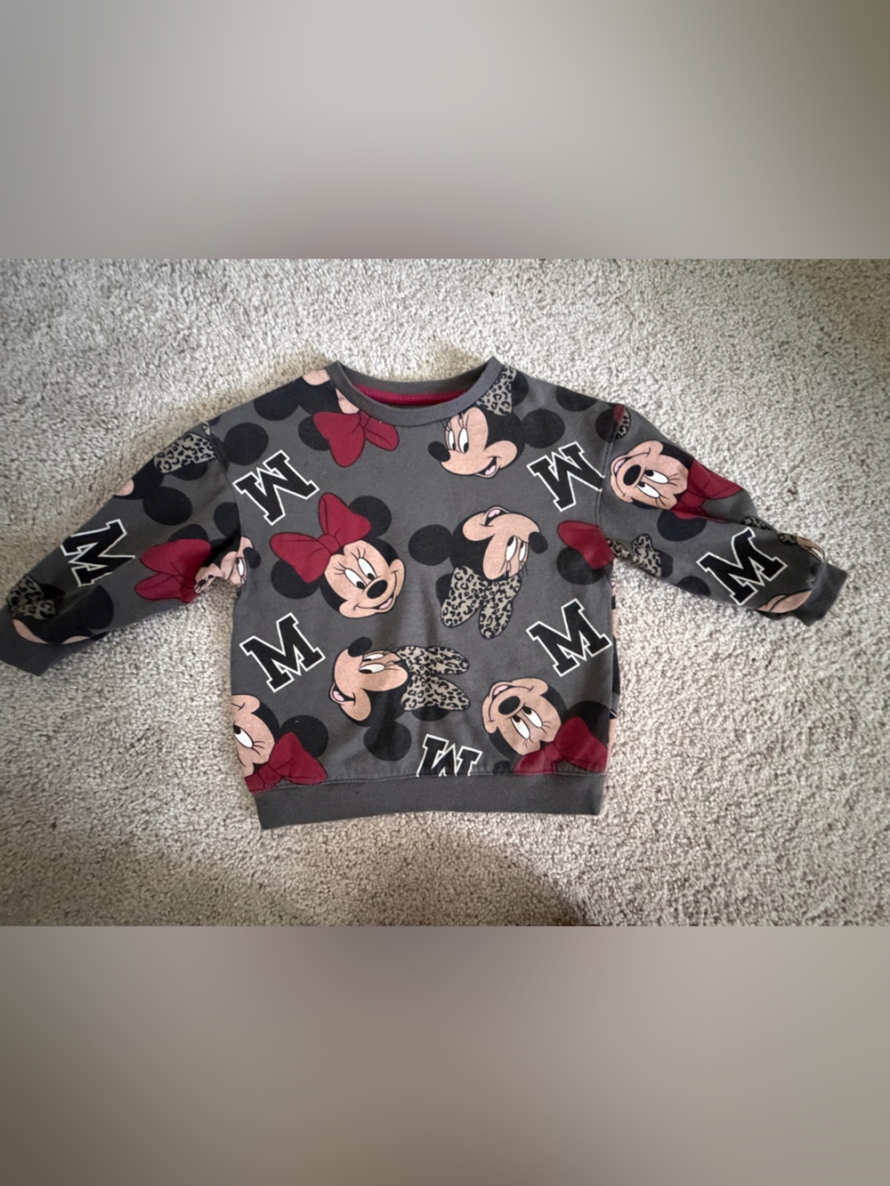 Disney Minnie Mouse Gray Sweatshirt with Red Accents